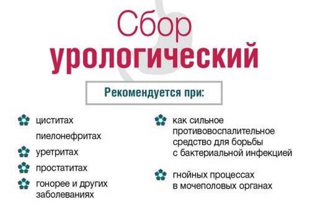 Урологический сбор фитонефрол: инструкция, противопоказания и аналоги