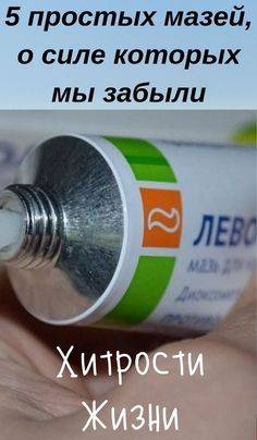 Как можно восстановить потенцию в домашних условиях: препараты и народные средства