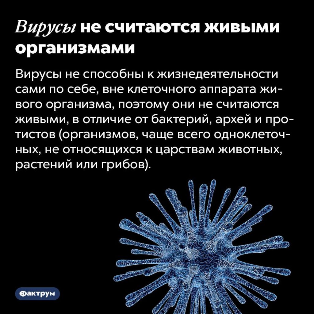 Вирусы относятся к живым организмам. Вирусы это живые организмы. Высказывание о вирусах. Интересные вирусы. Интересные факторы о вирусах.