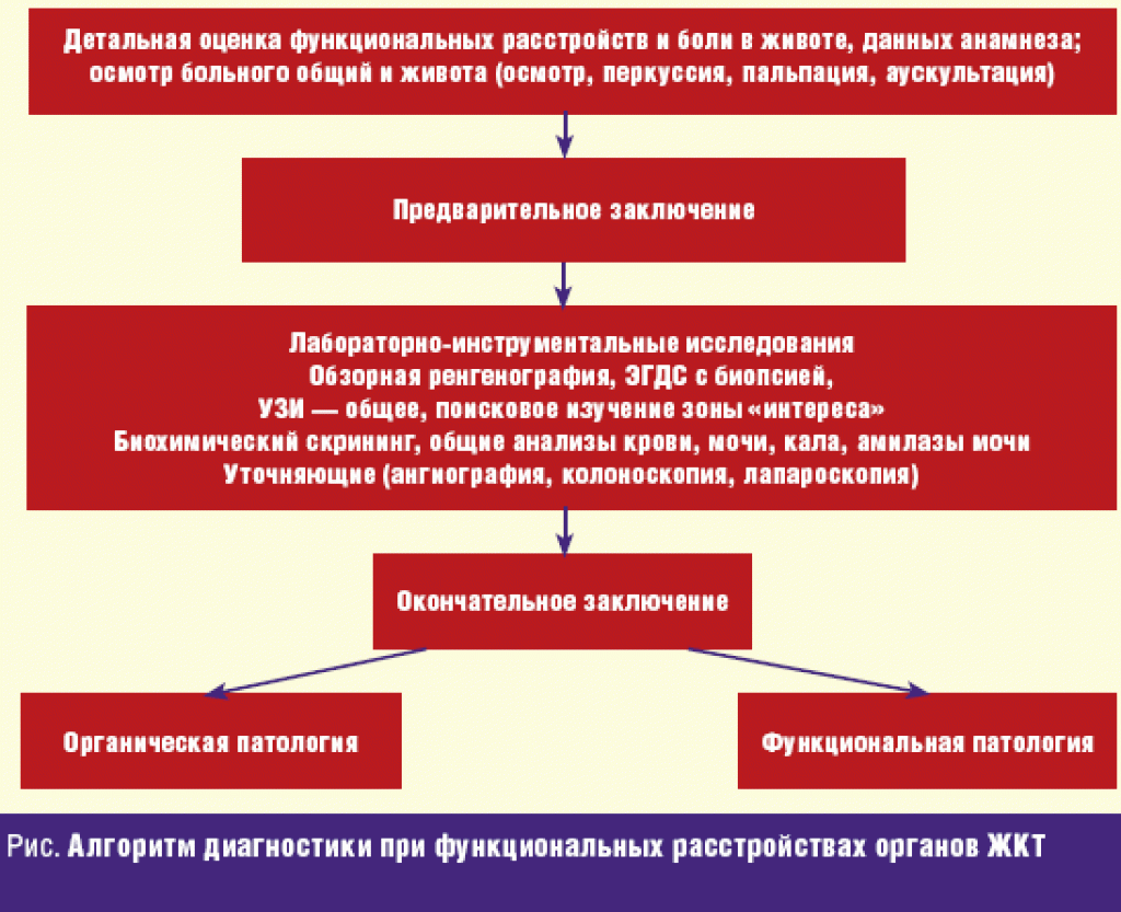 Функциональное расстройство у детей. Функциональное расстройство кишечника. Функциональные болезни желудка. Функциональные расстройства ЖКТ. Функциональное расстройство желудочно кишечного тракта.