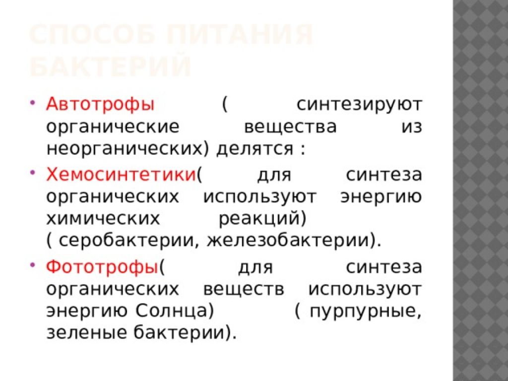 Синтез органических из неорганических. Автотрофы синтезируют органические вещества из неорганических. Синтез органических веществ автотрофы. Фототрофы особенности. Фототрофы это кратко.