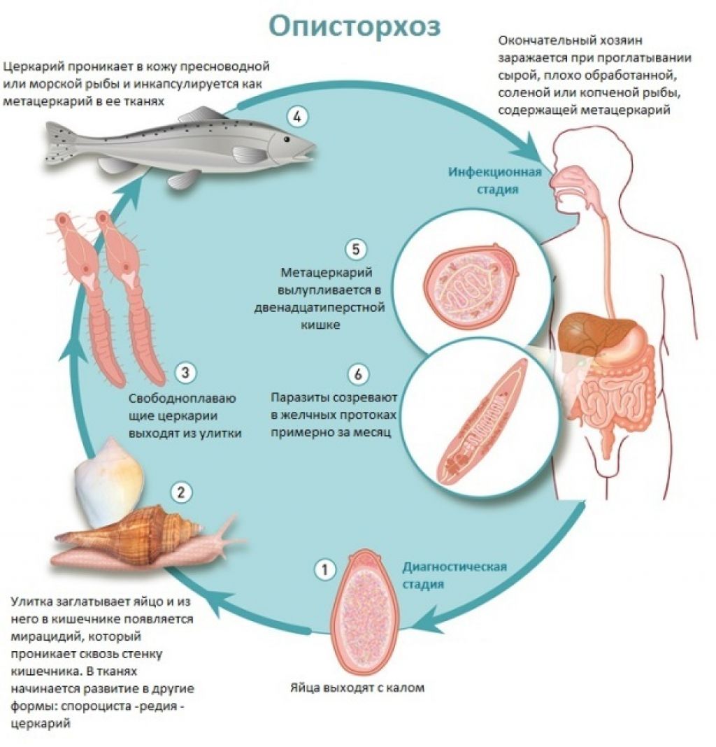 Начинать лечение по оракулу