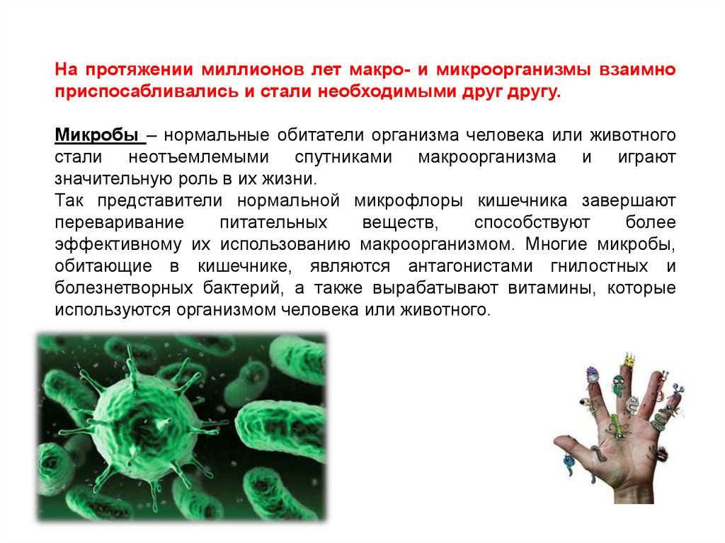 Составьте схему иллюстрирующую использование бактерий в хозяйственной деятельности человека