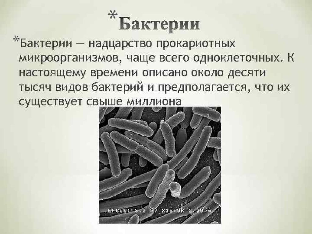 Бактерии являются паразитами животных. Бактерии паразиты человека. Бактерии паразиты бактерий. Микроорганизмы паразиты.