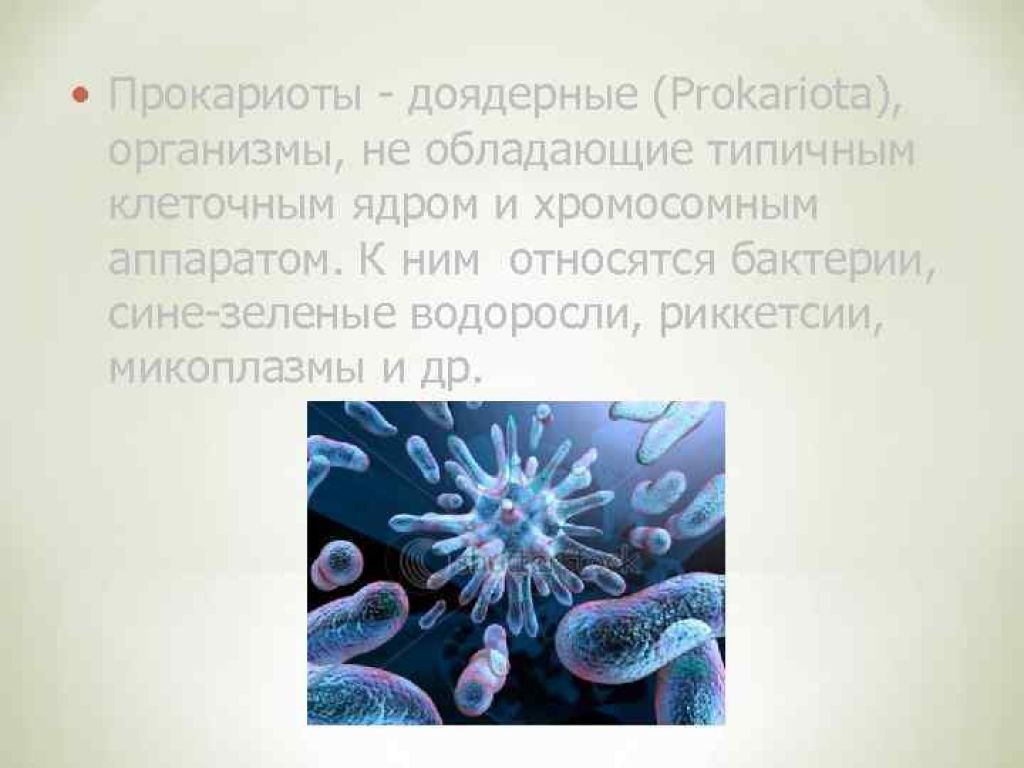 Доядерные прокариоты. Прокариоты бактерии микоплазмы. Доядерные организмы это бактериофаг. Доядерные организмы прокариоты.