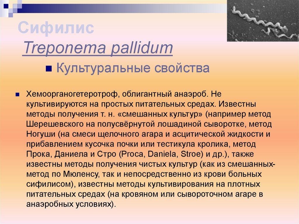 Treponema pallidum что это. Treponema pallidum культуральные свойства. Культивирование сифилиса. Культуральные свойства сифилиса. Методы культивирования сифилиса.