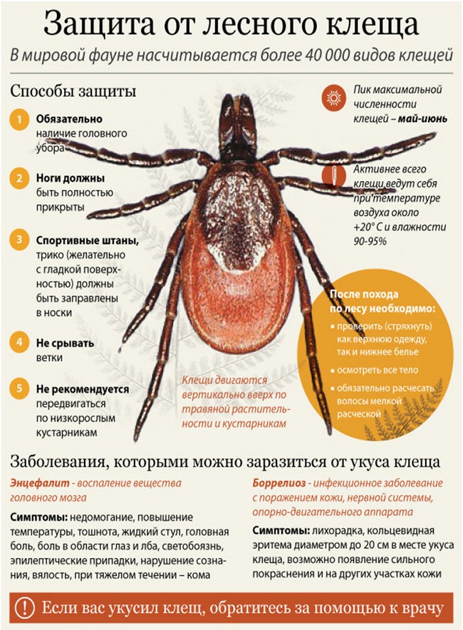 Прививка от клещевого энцефалита детям с какого возраста схема