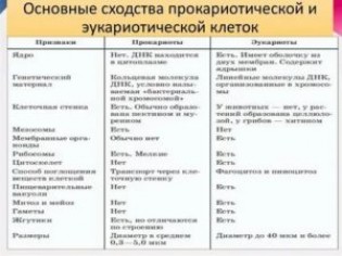 Прокариоты и эукариоты: главные отличия одноклеточных или многоклеточных организмов, их генетический материал и таблица об этом