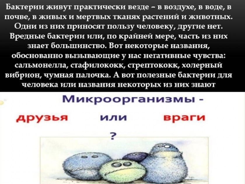 Лечение дисбактериоза