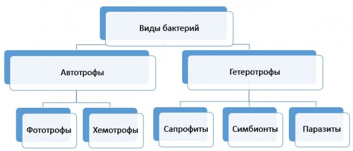 Места обитания