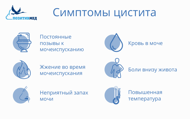 Схема лечения острого цистита у женщин