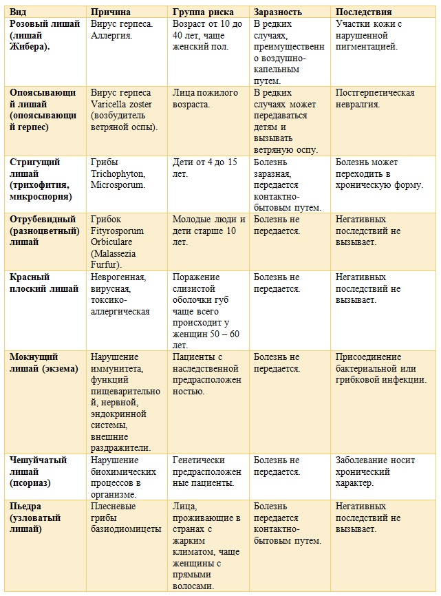Передается ли лишай от кошек человеку - пути инфицирования и методы ...