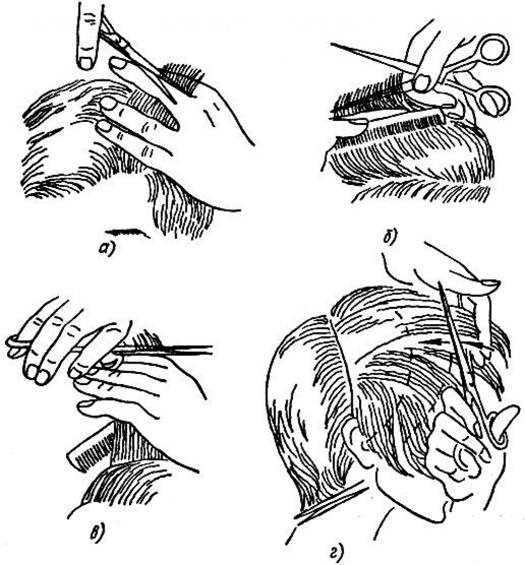 Уроки стрижек для начинающих парикмахеров бесплатно