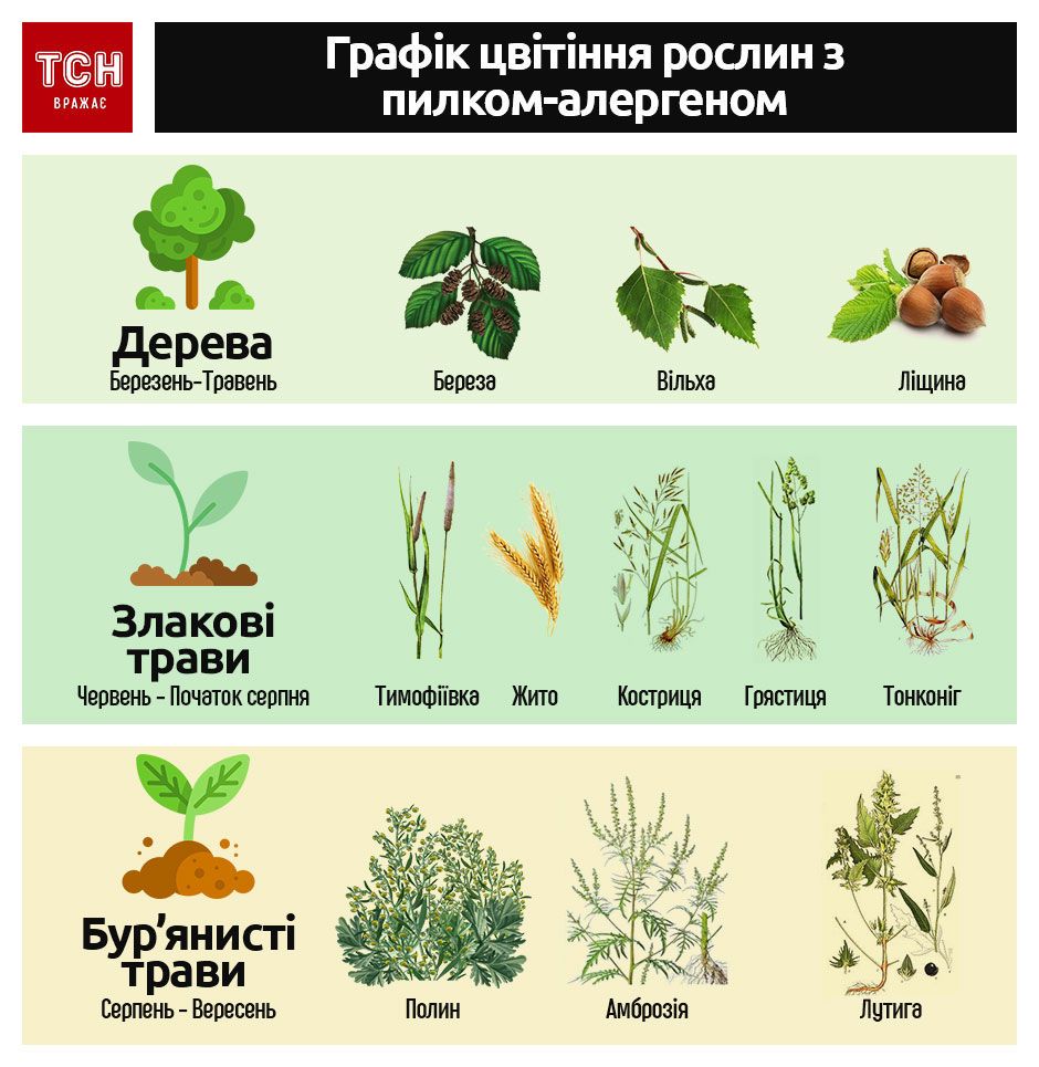 Дешевые аналоги лекарств от аллергии: таблица с ценами