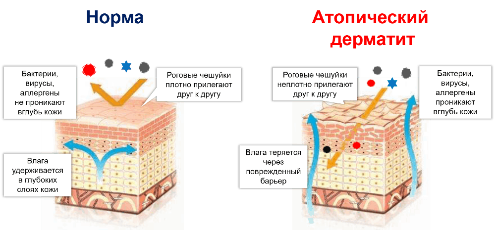 Кожа крафт что это такое