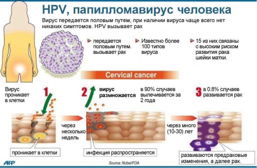 Вирус human. Вирус папилломы человека (16 и 18 Тип) патогенез. Папилломавирус инфекция.