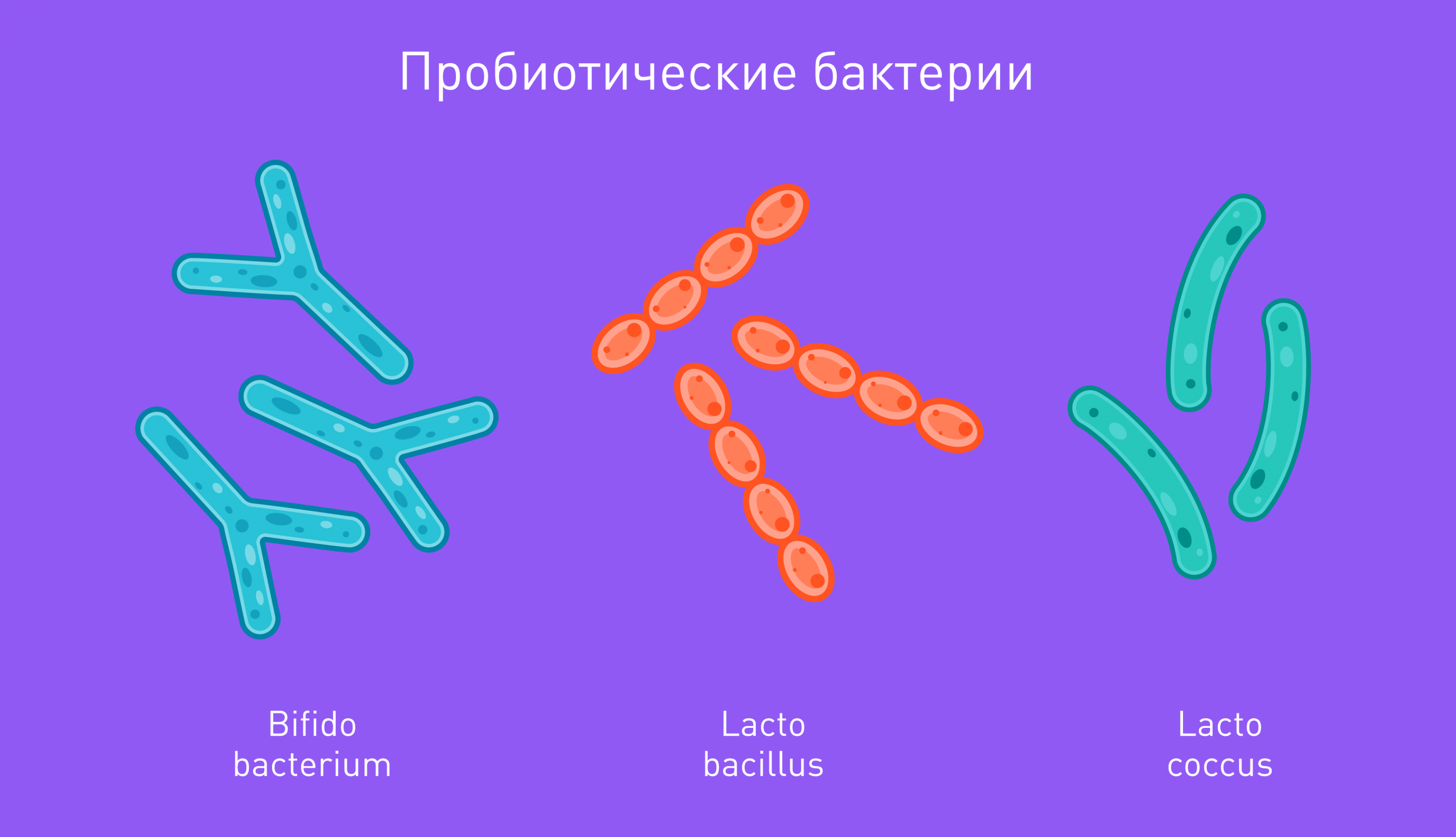 Зачем кишечнику бактериальное разнообразие