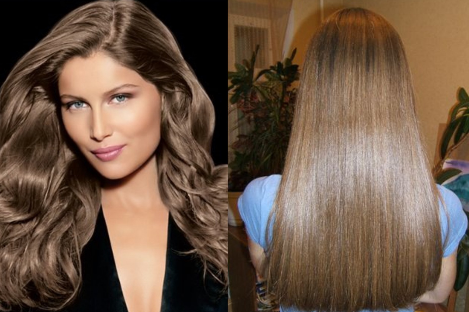 Цвет волос баклажановый на темные волосы до и после фото
