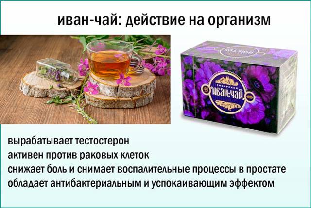 Как принимать иван чай при аденоме простаты