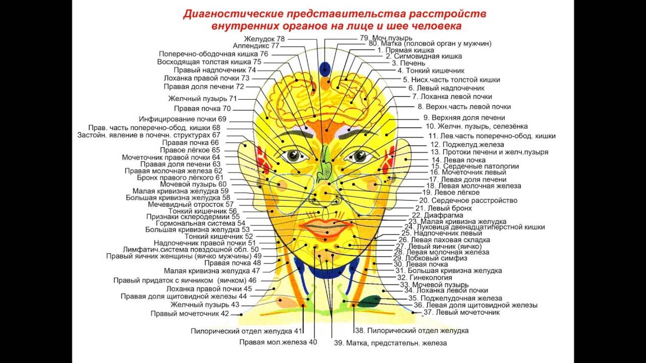 Китайская карта лица расскажет о ваших болезнях