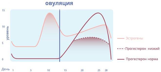 Как снизить уровень прогестерона?