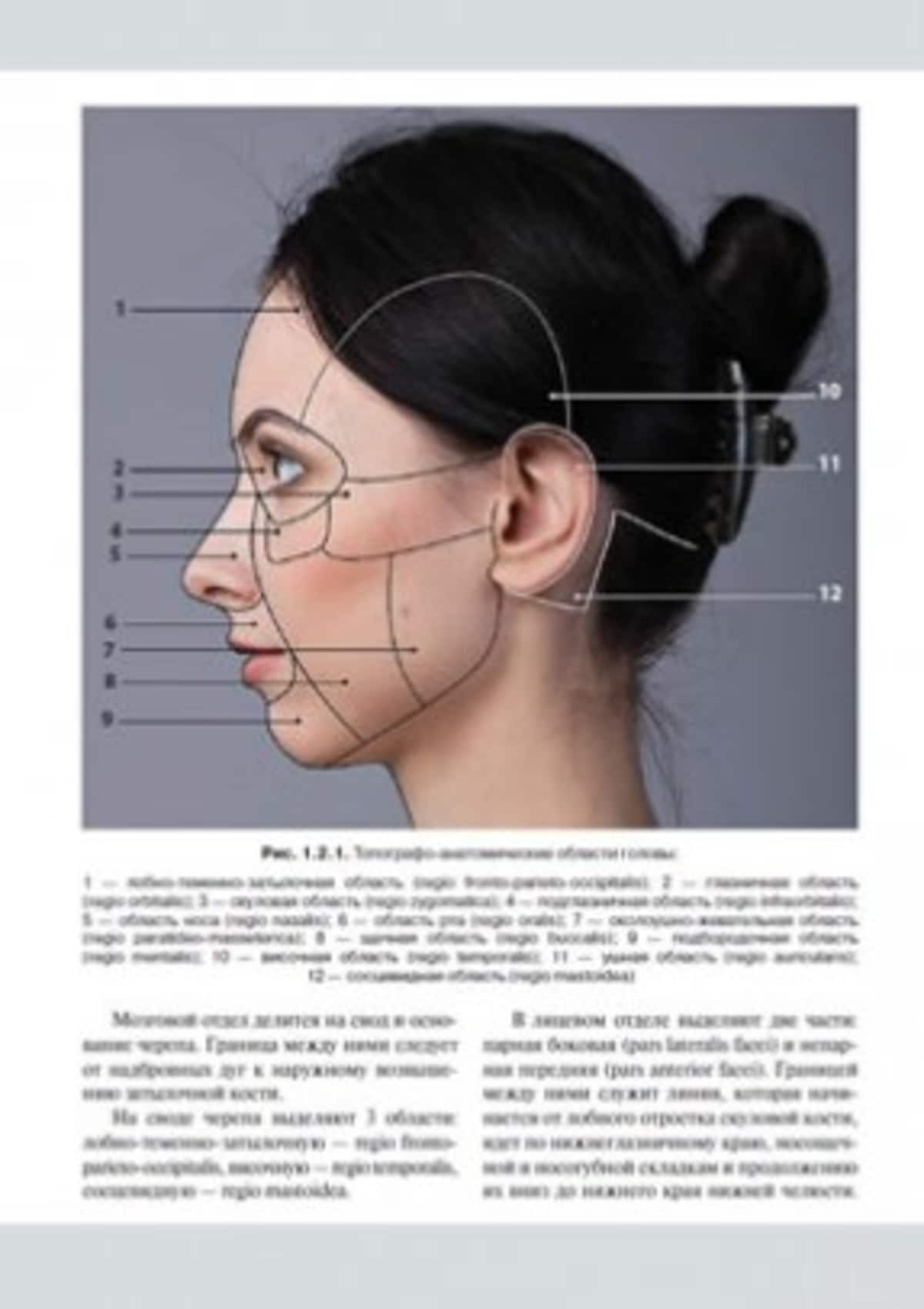 Границы лица. Косметическая анатомия лица Воробьев. Косметологическая анатомия лица. Атлас лица для косметологов. Топографическая анатомия лица для косметологов.