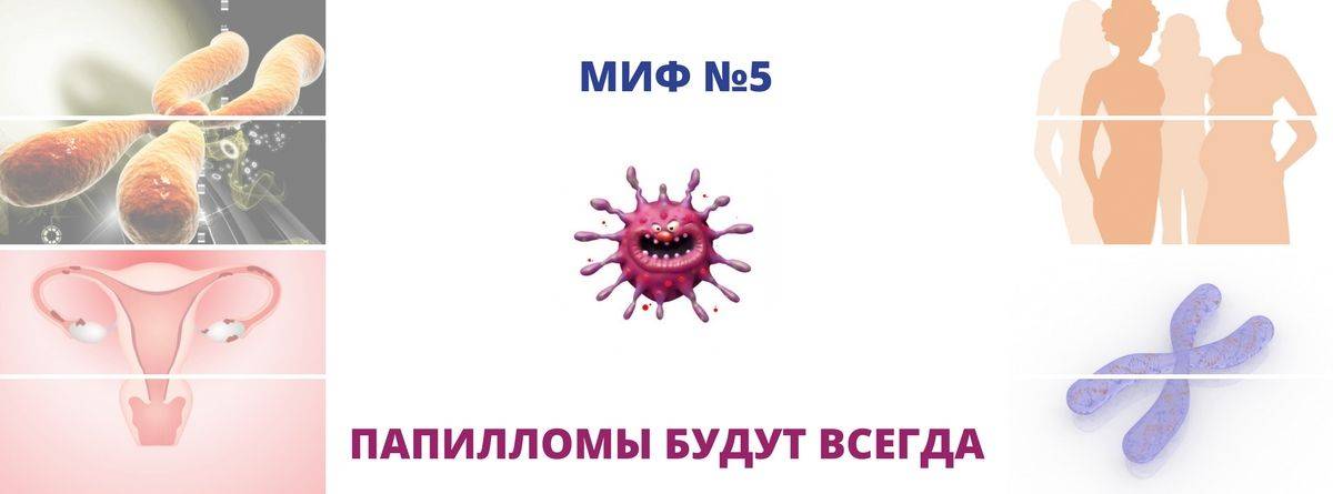 Папилломы исчезли сами почему