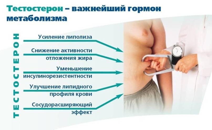 Продукты, повышающие тестостерон