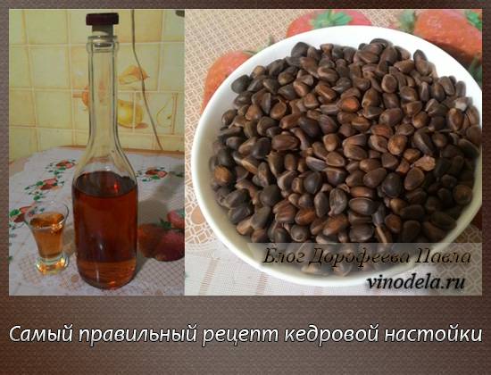 Кедровая настойка на спирту