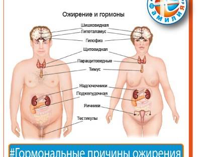 8 причин, почему люди толстеют, даже если реально едят мало калорий: что с этим делать?
