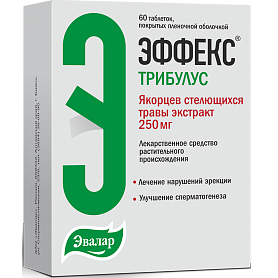 Как повысить уровень тестостерона — тренировки и продукты питания