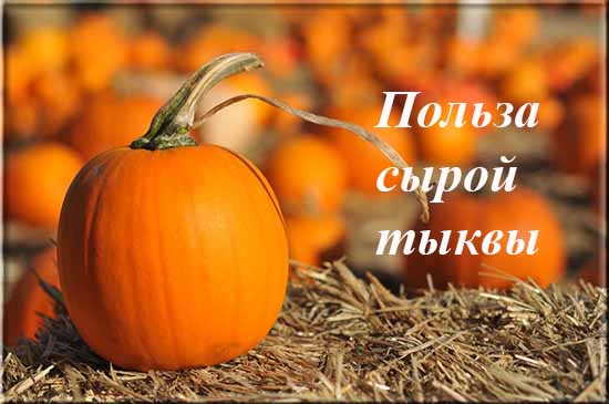 Польза и вред тыквы для мужского организма