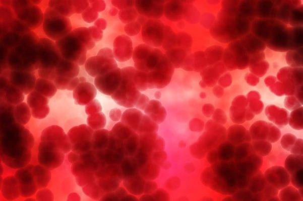 Диета по группе крови: принципы диеты. рацион на неделю