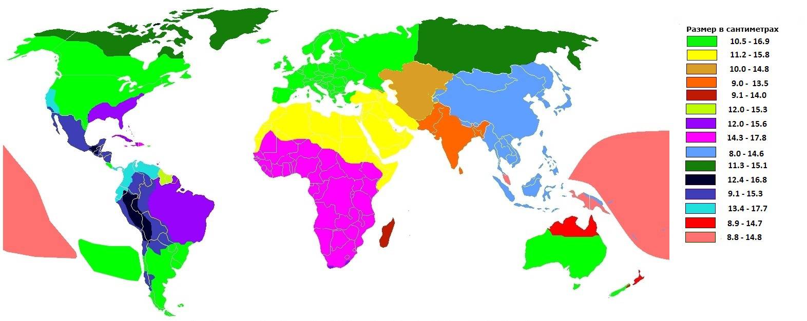 Сколько членов в мире. Карта размеров мужских достоинств. Карта размеров мужских достоинств в мире. Средняя длина пениса по странам. Статистика размеров члена.