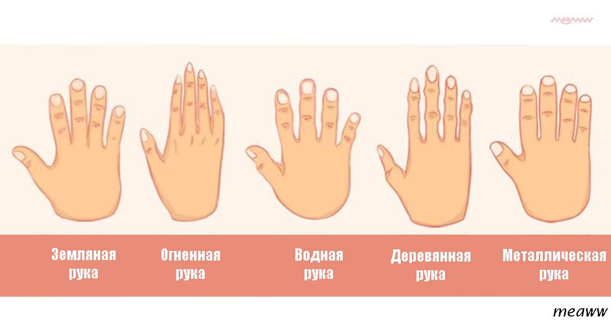 Пальцы стихий. Типы рук. Форма рук. Форма кисти руки. Типы кистей рук.