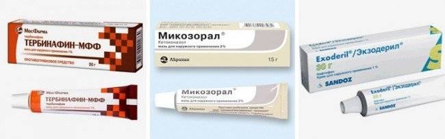 Появление зуда в паху у мужчин: о какой болезни сигнализируют симптомы, лечение недуга