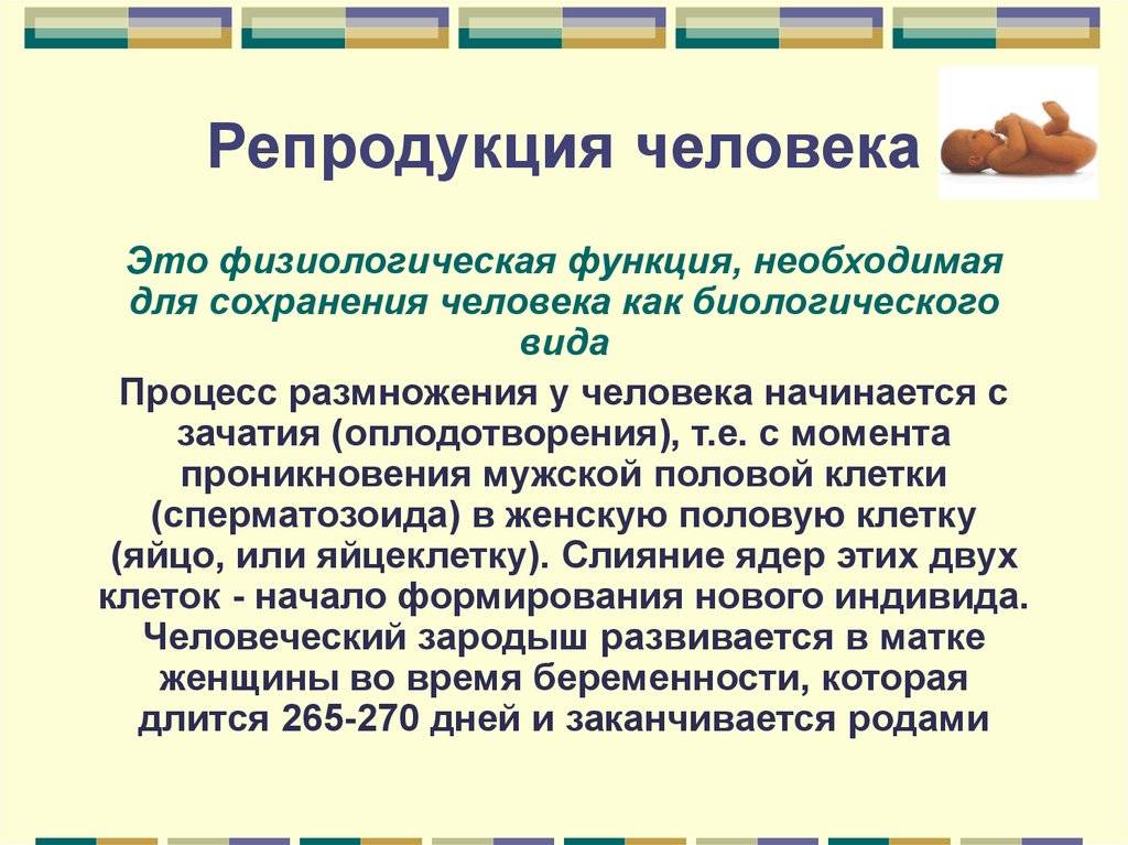 Что такое фертильность и ее показатель у мужчин?